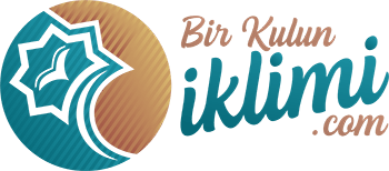 Bir Kulun İklimi